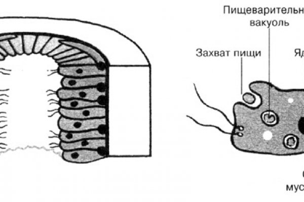 Кракен ссылка gigageek ru